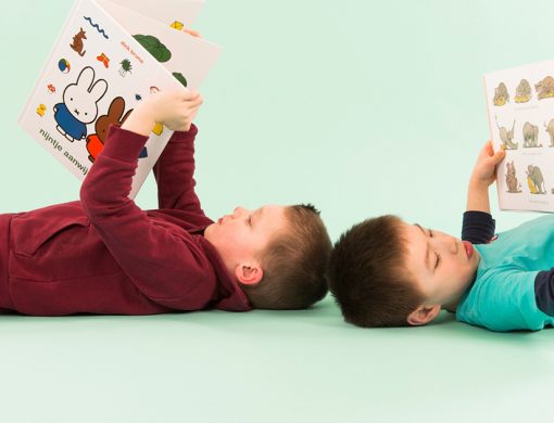 Met het project VoorleesExpress Epe wil Koppel-Swoe bijdragen aan de taalstimulering bij kinderen in de leeftijdscategorie van 2-8 jaar in de gemeente Epe.