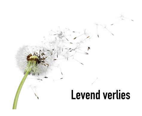 Steunpunt Mantelzorg wil graag onderzoeken of er onder de mantelzorgers in de gemeente Epe, behoefte is aan een serie workshops ‘Levend verlies’.